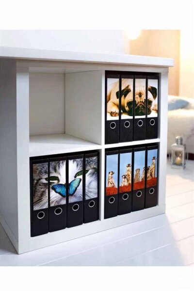 Ordneretiketten für 12 Ordner 36-tlg. Motiv Mops selbstklebend WELTBILD 5572193