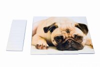 Ordneretiketten für 12 Ordner 36-tlg. Motiv Mops selbstklebend WELTBILD 5572193