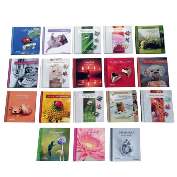 Geschenkbuch 11x11,5cm sortiert PA 2,99 €