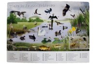 Mein Riesen-Pappebuch NATUR Tiere und ihre Lebensräume Bilderbuch 50x34 XXL EDITIONNOVA 29089888
