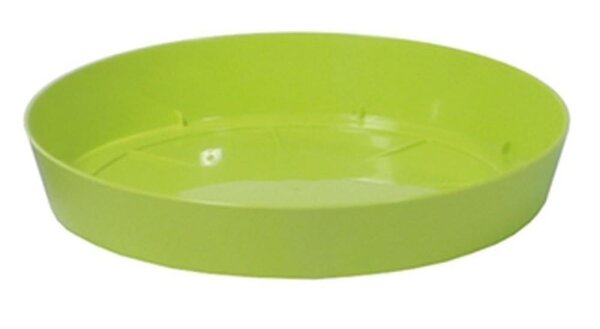 Untersetzer Ø19cm limette LOFLY