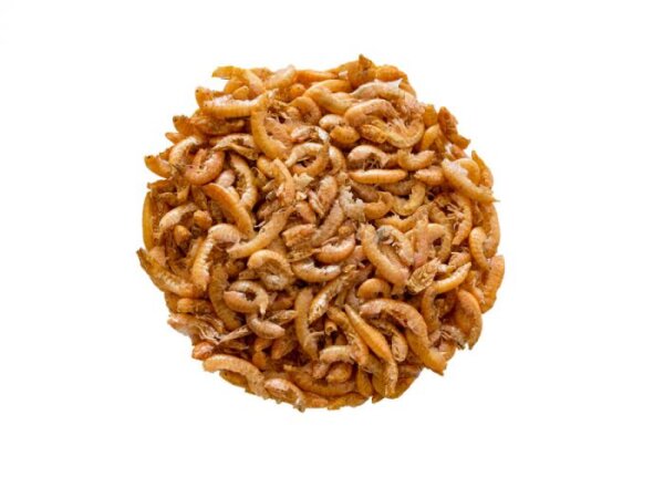 Bachflohkrebse Gammerus 10g Beutel ROSENLÖCHER