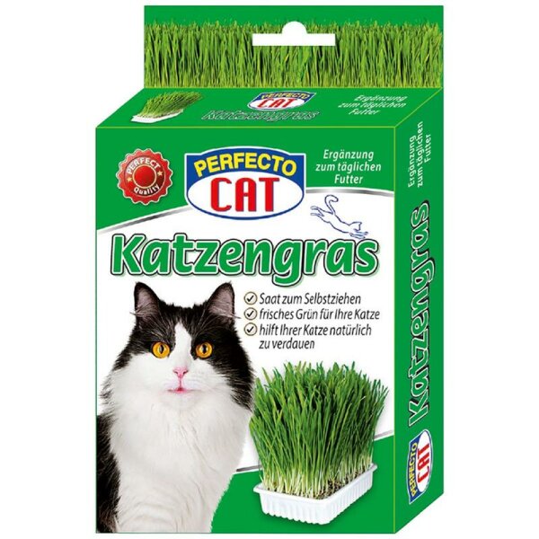 Perfecto Cat Katzengras 100g