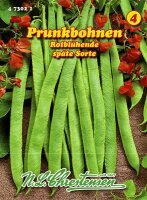 Prunkbohnen Rotblühende PG4