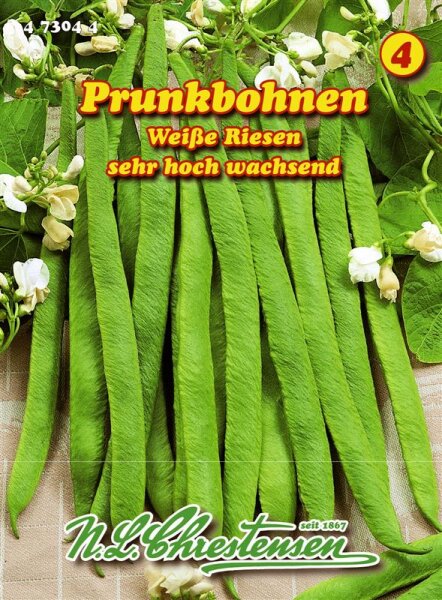 Prunkbohnen Weiße Riesen PG4