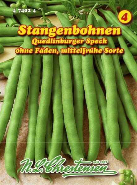 Stangenbohnen Quedl.Speck grün PG4