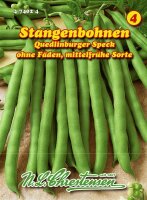 Stangenbohnen Quedl.Speck grün PG4