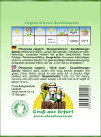 Stangenbohnen Quedl.Speck grün PG4