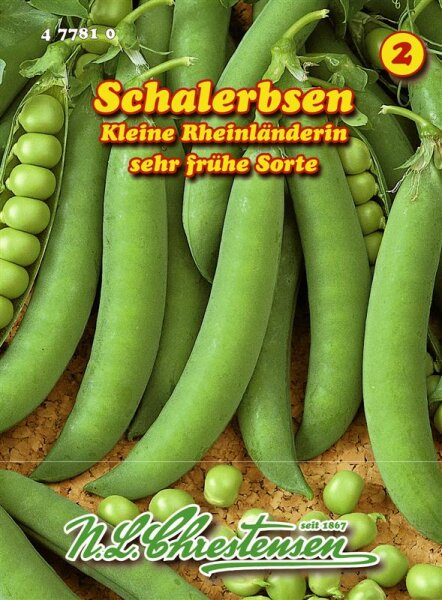 Schalerbse Kleine Rheinländerin PG2