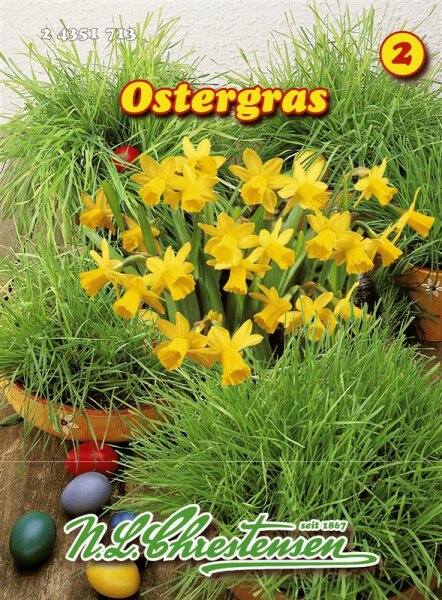 Ostergras PG2