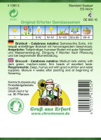 Brokkoli Calabrese natalino PG2