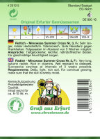 Rettich Minowase Summer Cross PG4