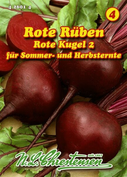 Rote Rüben Rote Kugel 2 PG4