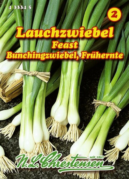 Lauchzwiebel Feast PG2