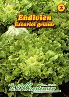 Endivien Escariol Grüner PG2