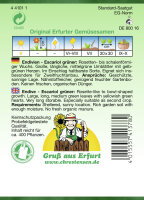 Endivien Escariol Grüner PG2