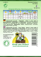 Feldsalat Verte a coleur plein 3 PG3