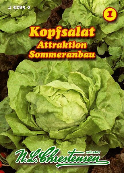 Kopfsalat Attractie PG1