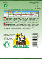 Kopfsalat Attractie PG1