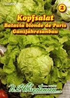Eissalat Batavia blonde de Paris PG2