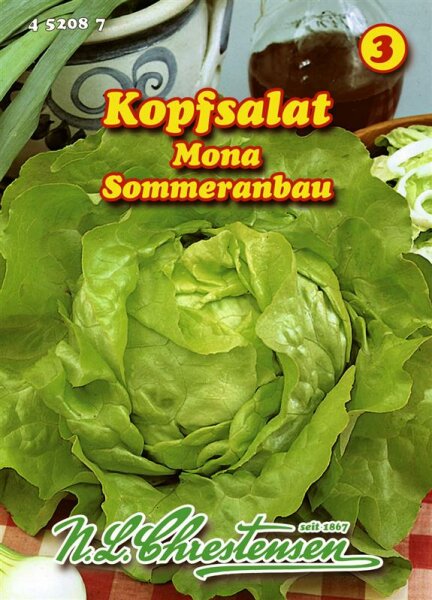 Kopfsalat Mona PG3