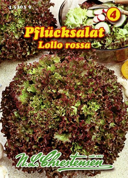 Pflücksalat Lollo rossa PG4