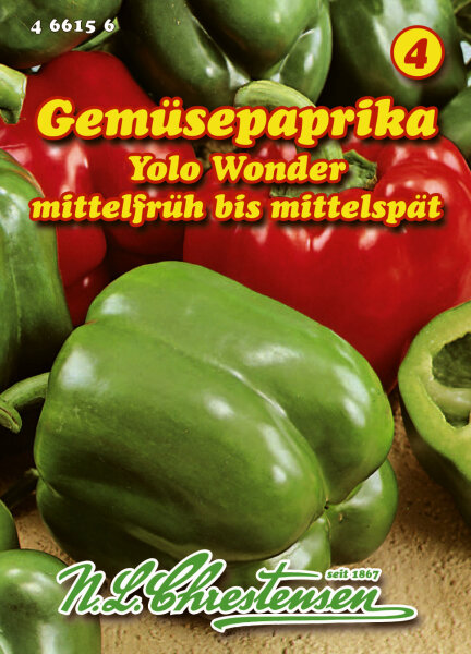 Paprika Yolo Wonder PG4