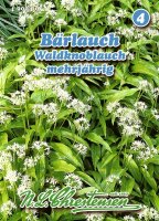 Bärlauch, Waldknoblauch PG4