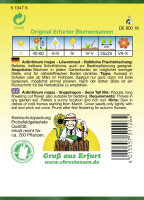 Antirrhinum halbh.Prachtmg. PG2