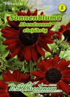 Helianthus Abendsonne rot PG1