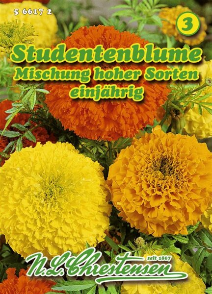 Tagetes hohe Mischung PG3