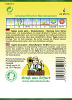 Tagetes hohe Mischung PG3