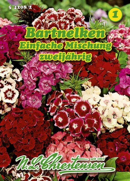 Dianthus barb. einf. Mg. PG1