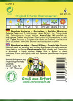 Dianthus barb. gefüllte Mg. PG1