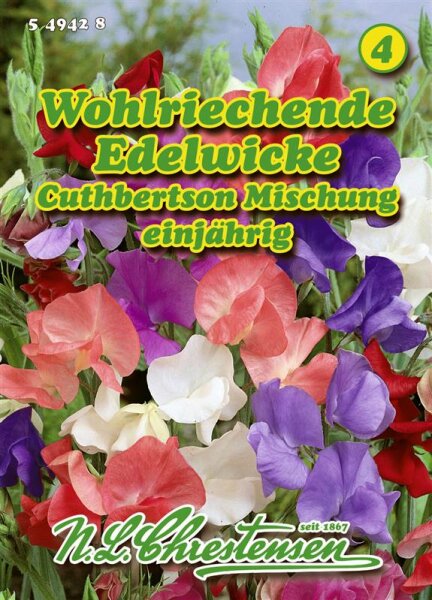 Lathyrus Edelwick.Cuthb.Prachtmg. PG4