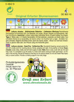 Lathyrus Edelwick.Cuthb.Prachtmg. PG4