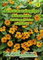 Thunbergia/Schwarzäugige Susanne PG2