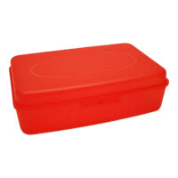 Snack Box groß 31x21x8,5cm