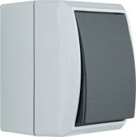 AquaForm, grau, Aus-/Wechselschalter AP, IP 44