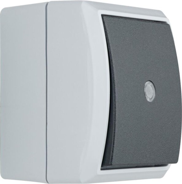 AquaForm, grau, Kontroll-Wechselschalter AP, IP 44