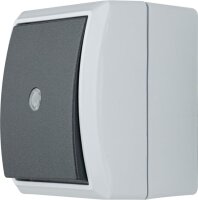 AquaForm, grau, Kontroll-Wechselschalter AP, IP 44