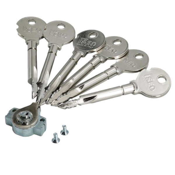 Einbausicherung 50mm mit 6 Stahlschlüssel