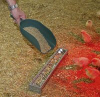Futterschaufel grün ca. 2000 g für Hobbyfarming