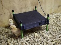 Wärmeplatte CosyHeat 30x30cm integr. Thermostat 24 V für Hobbyfarming