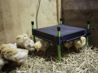 Wärmeplatte CosyHeat 30x30cm integr. Thermostat 24 V für Hobbyfarming