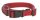 Set GoLeyGo Flat,Halsband+Leine 20mmX40-65cm,2cmX1,4-2mrot