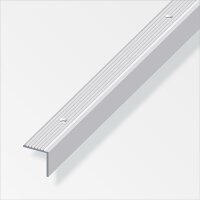 Treppen-Profil 19x20 silber eloxiert 1m