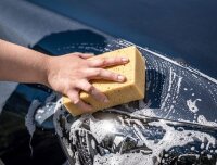 Grossflächenschwamm APA