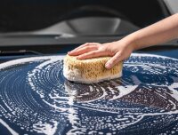 Schwamm Natura 180X120X65mm APA