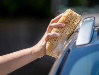 Schwamm Natura 180X120X65mm APA